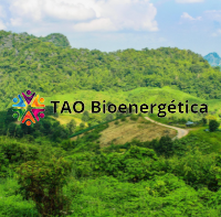 TAO Bioenergética