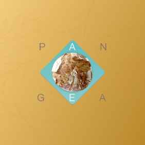 Pangea Panadería